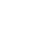 Our People
